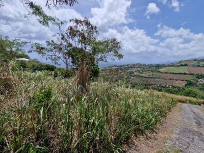 Vente Terrain CARBET 97221