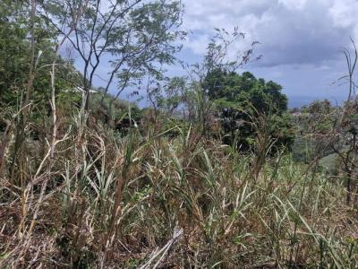 Vente Terrain CARBET 97221