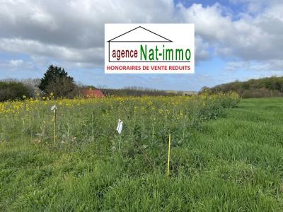 Vente Terrain COURTEMAUX 45320