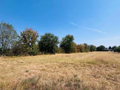Vente Terrain BLAN 81700