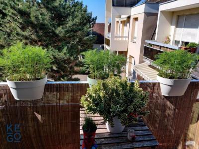 Location Appartement 4 pi�ces BISCHHEIM 67800