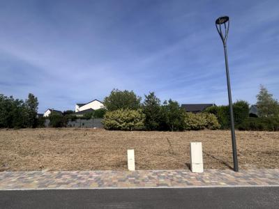Vente Terrain TAISSY 51500