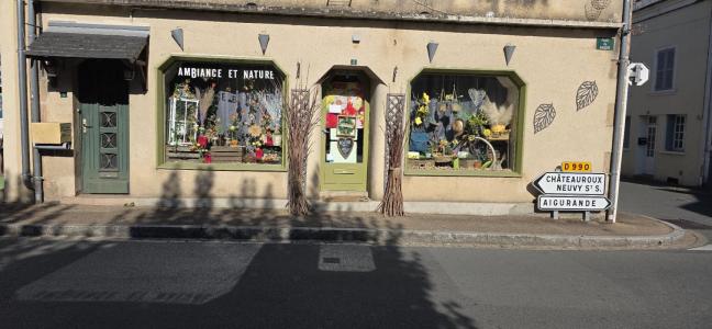 Vente Local commercial CLUIS 36340