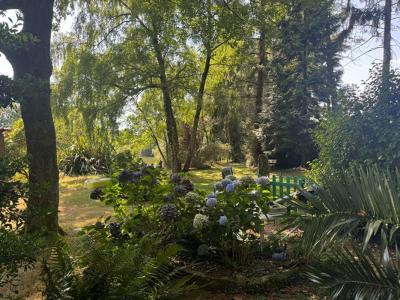 Vente Terrain PLUVIGNER 56330