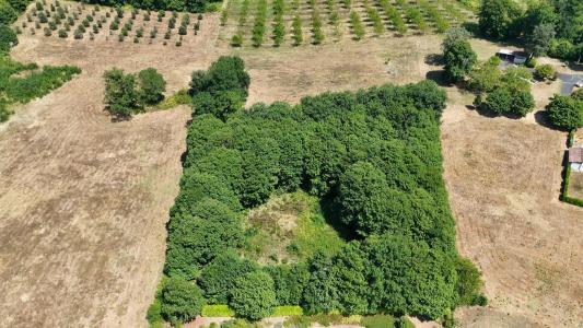 Vente Terrain PRATS-DE-CARLUX 24370