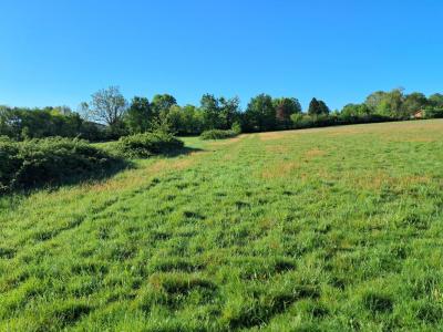 Vente Terrain VAYRES 33870