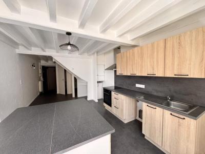 Location Appartement ROANNE 42300