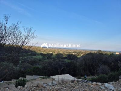 Vente Terrain SERRA-DI-FIUMORBO 20243