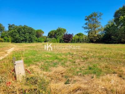 Vente Terrain CASTELGINEST 31780