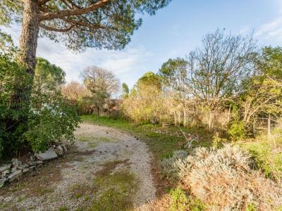 Vente Terrain PAULHAN 34230