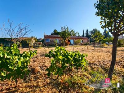 Vente Maison 3 pi�ces VILLENEUVE-MINERVOIS 11160