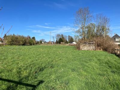 Vente Terrain BRETTEVILLE-DU-GRAND-CAUX 76110