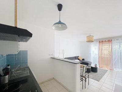 Location Appartement 2 pi�ces BLAYE 33390