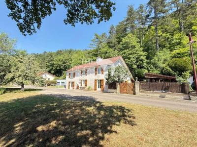 Vente Maison 5 pi�ces CONDES 52000