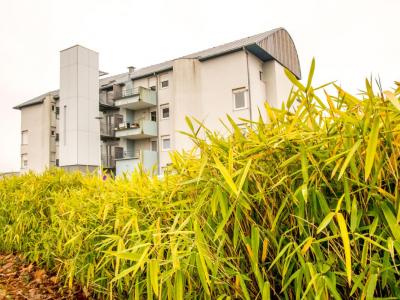 Location Appartement 3 pi�ces TORCY 71210