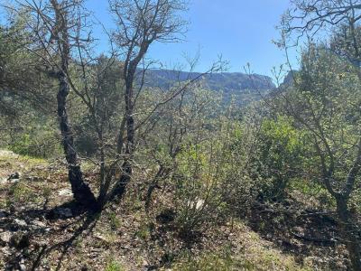 Vente Terrain PLAN-D'AUPS-SAINTE-BAUME 83640