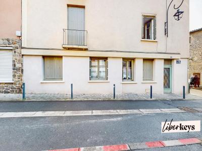 Vente Immeuble SAINT-SYMPHORIEN-SUR-COISE 69590