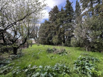 Vente Terrain CONNAUX 30330