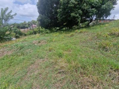 Vente Terrain FRANCOIS 97240