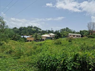 Vente Terrain ROBERT 97231