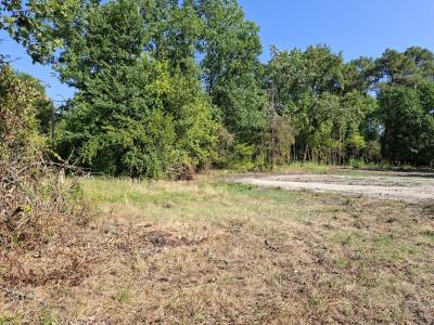 Vente Terrain BREDE 33650