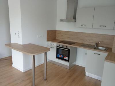 Location Appartement 2 pi�ces NANCY 54000