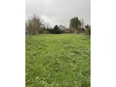 Vente Terrain CHATEAUBRIANT 44110