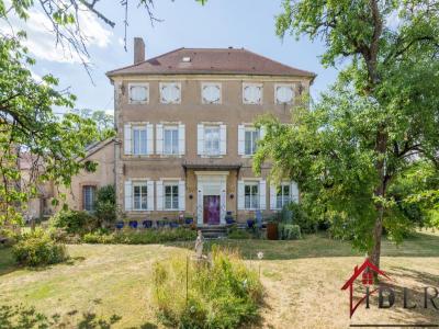 Vente Prestige VAL-DE-MEUSE 52140