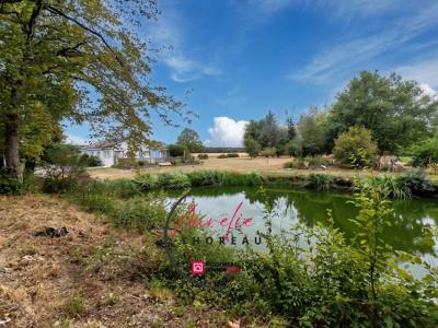 Vente Maison 5 pi�ces BOUGY-LEZ-NEUVILLE 45170
