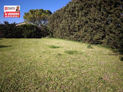 Vente Terrain MONTEUX 84170