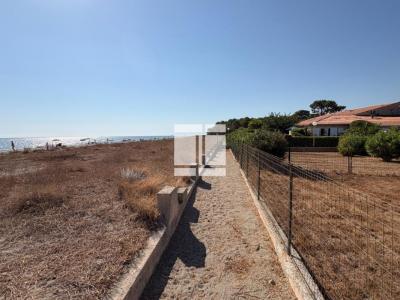 Vente Appartement BORGO 20290