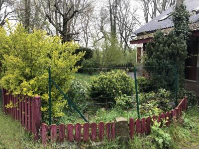 Location Maison 5 pi�ces GELLES 63740