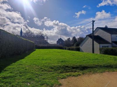 Vente Terrain SAINT-PIERRE-EGLISE 50330