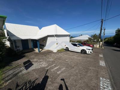 Vente Immeuble SAINT-JOSEPH 97480