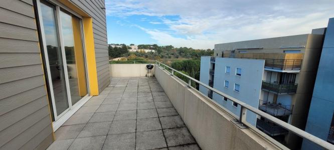 Location Appartement 3 pi�ces MONTPELLIER 34080