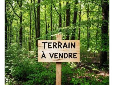 Vente Terrain BEGANNE 56350