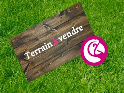 Vente Terrain BRISSAC-QUINCE 49320
