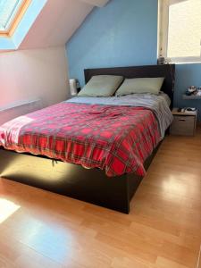 Location Maison 3 pi�ces SAINT-GEORGES-DE-COMMIERS 38450