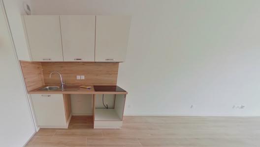 Location Appartement 2 pi�ces SAINT-JEAN-DE-BRAYE 45800