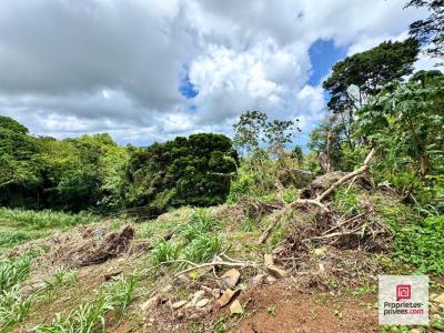 Vente Terrain SAINTE-LUCE 97228