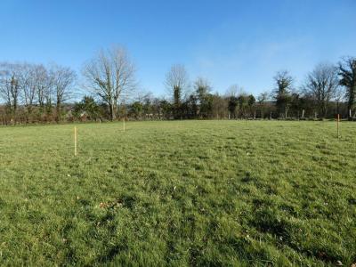 Vente Terrain CONDE-SUR-NOIREAU 14110