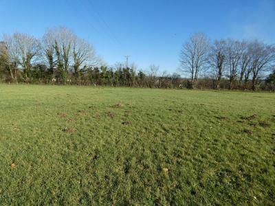 Vente Terrain MEZIDON-CANON 14270