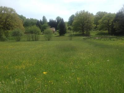 Vente Terrain MENONCOURT 90150