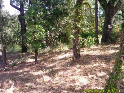 Vente Terrain MAYONS 83340