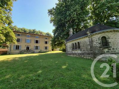 Vente Maison 15 pi�ces EYZIN-PINET 38780