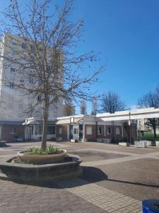 Location Appartement 3 pi�ces SAINT-ANDRE-LES-VERGERS 10120