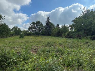 Vente Terrain ALBI 81000