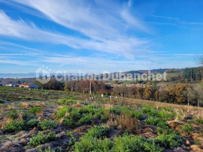 Vente Terrain MONTCHAL 42360