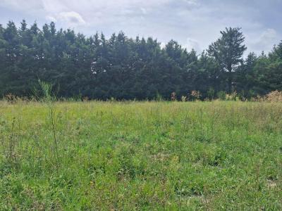 Vente Terrain SAINT-REMY-DE-PROVENCE 13210