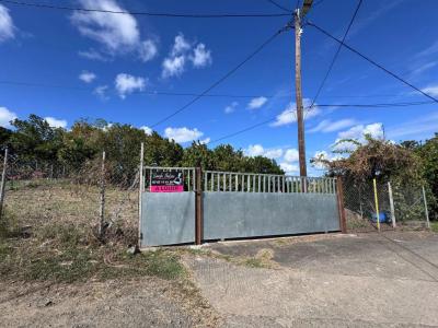 Location Terrain RIVIERE-SALEE 97215
